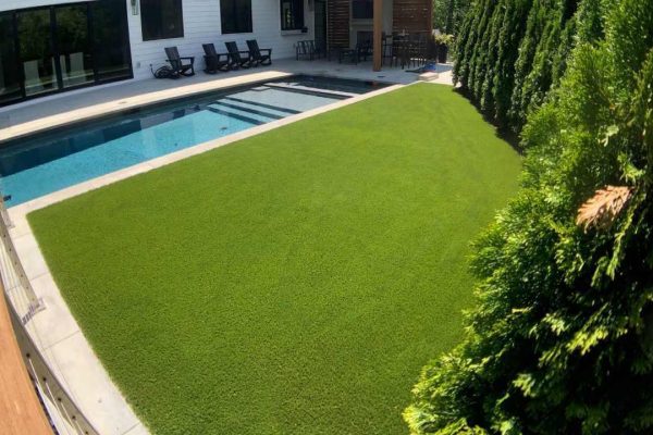 Transform Your Landscape with High-Quality Turf from a Reliable Turf Farm in Alexandria